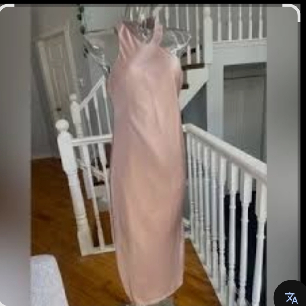 Banana Republic Blush Backless Dress